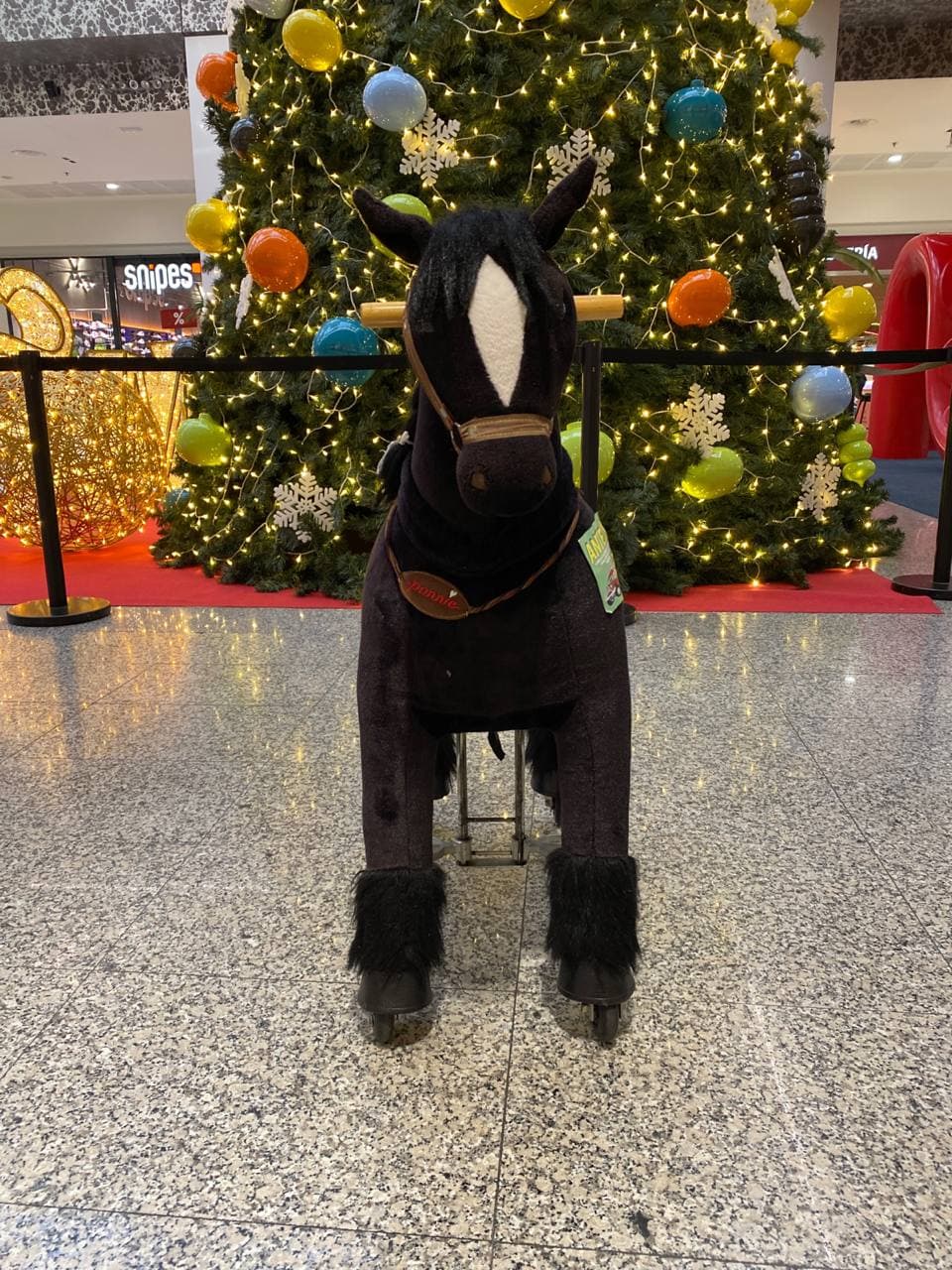 Caballo (Negro)