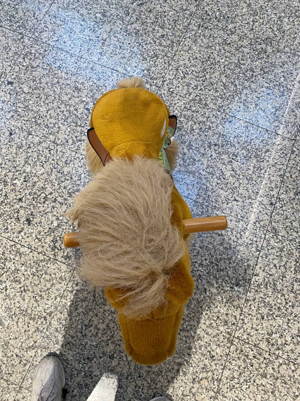 Pequeño Pony
