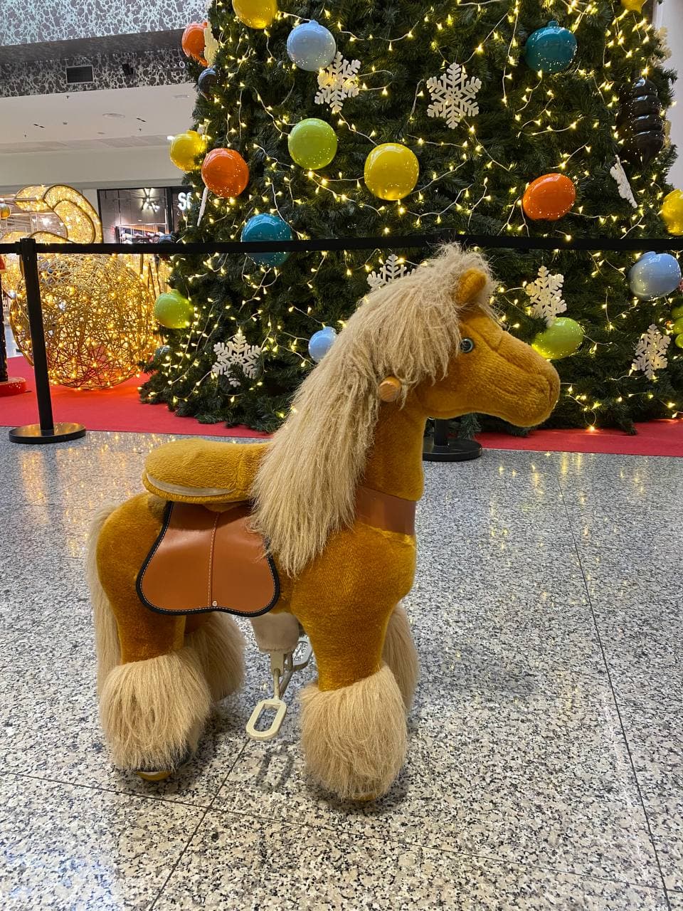 Poni pequeno, vista 3